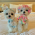 Dog Coat Colors 195 Dog Coat Colors 5