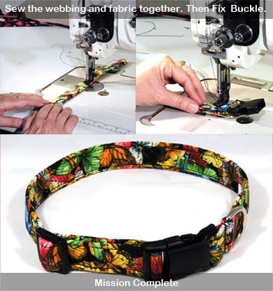 make diy dog collar