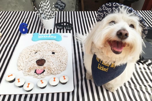 celebrate-your-dog's-birthday