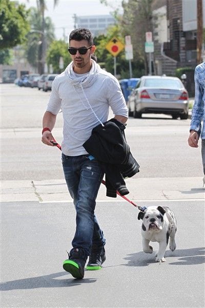 Joe-Jonas-and-his-bulldog