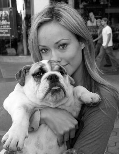 Olivia-Wilde-and-her-bulldog