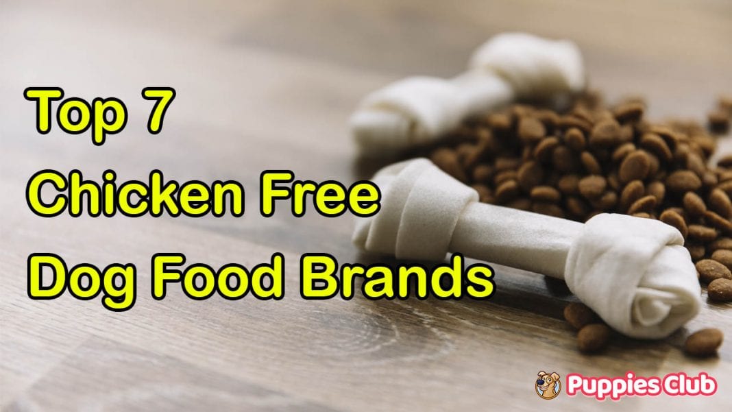7 best chicken free dog food brands 2019 puppies club
