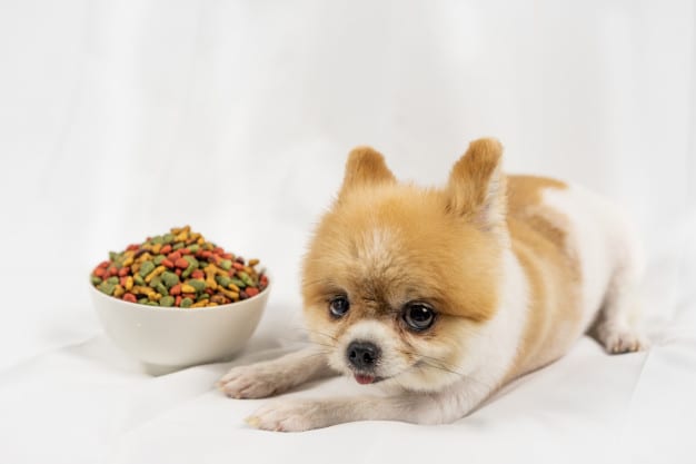 chicken-free-dog-food-brands