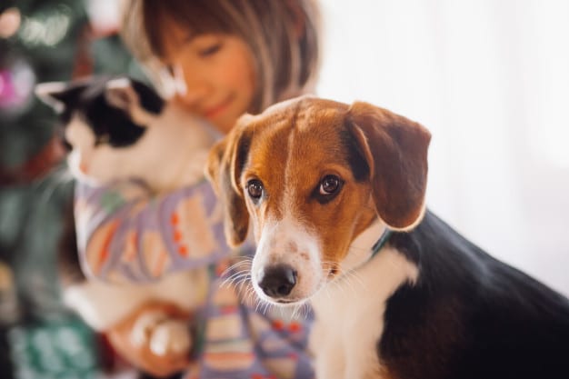 dog-sitting-near-girl