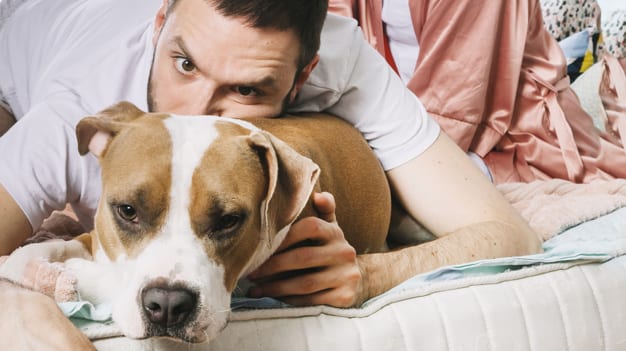 man-with-dog-bed