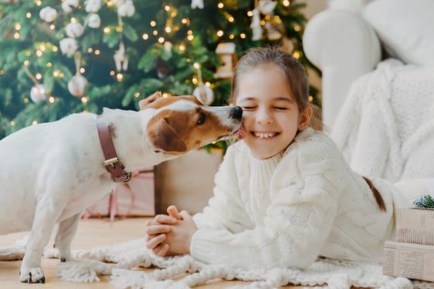 strong-relationship-between-child-and-dog