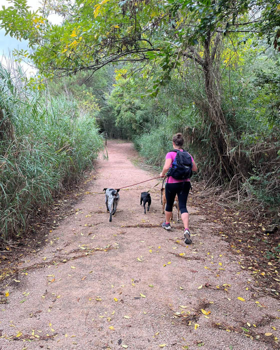 jogging-with-my-dog